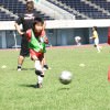 DSCF8378