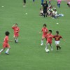 CIMG1993