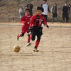 IMG_8384