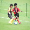 DSCN5782