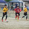 DSCN5806