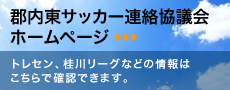 郡内東サッカー連絡協議会