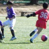 DSCN1784