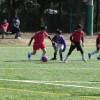 DSCN1792