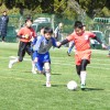 DSCN1798
