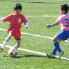 DSCN1820