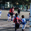 IMG_7390