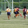DSCN4590